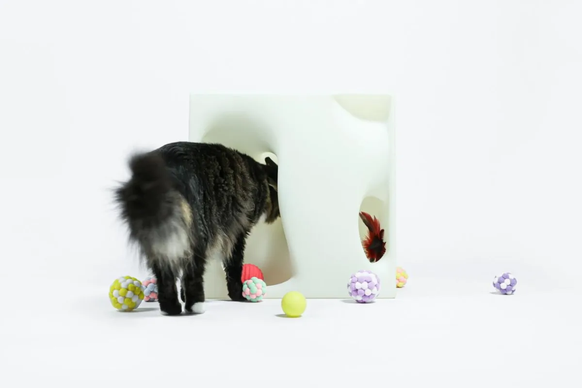 BIM建筑|假如业主是一只猫:猫立方系列 / 杜雷