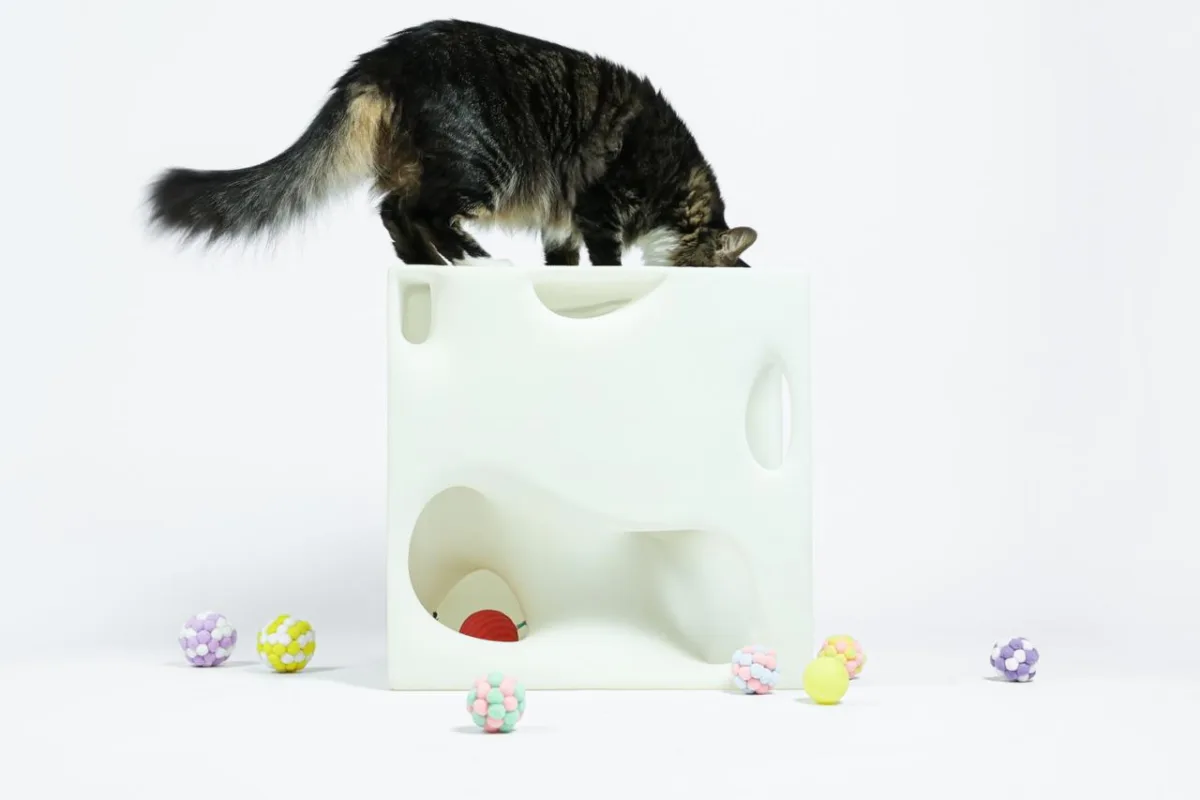 BIM建筑|假如业主是一只猫:猫立方系列 / 杜雷