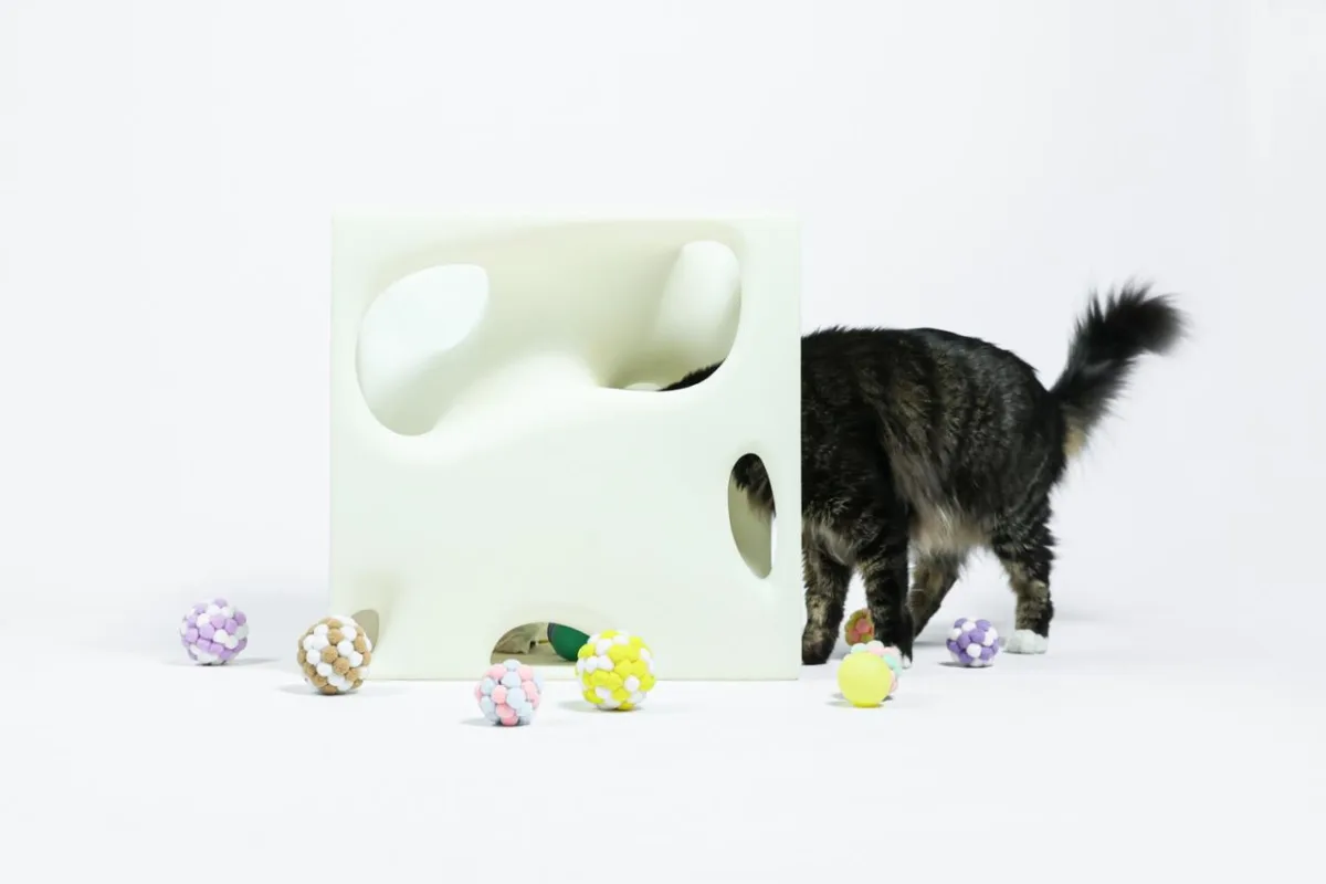 BIM建筑|假如业主是一只猫:猫立方系列 / 杜雷
