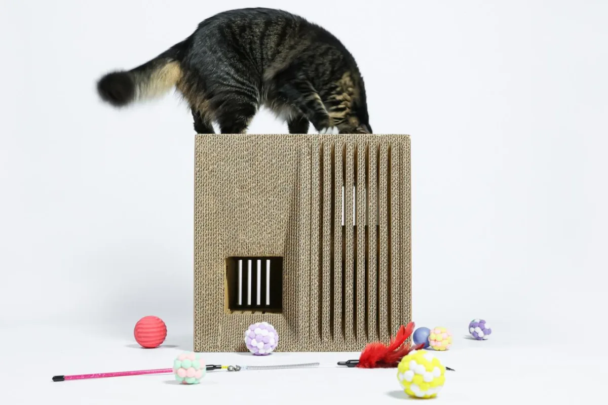 BIM建筑|假如业主是一只猫:猫立方系列 / 杜雷