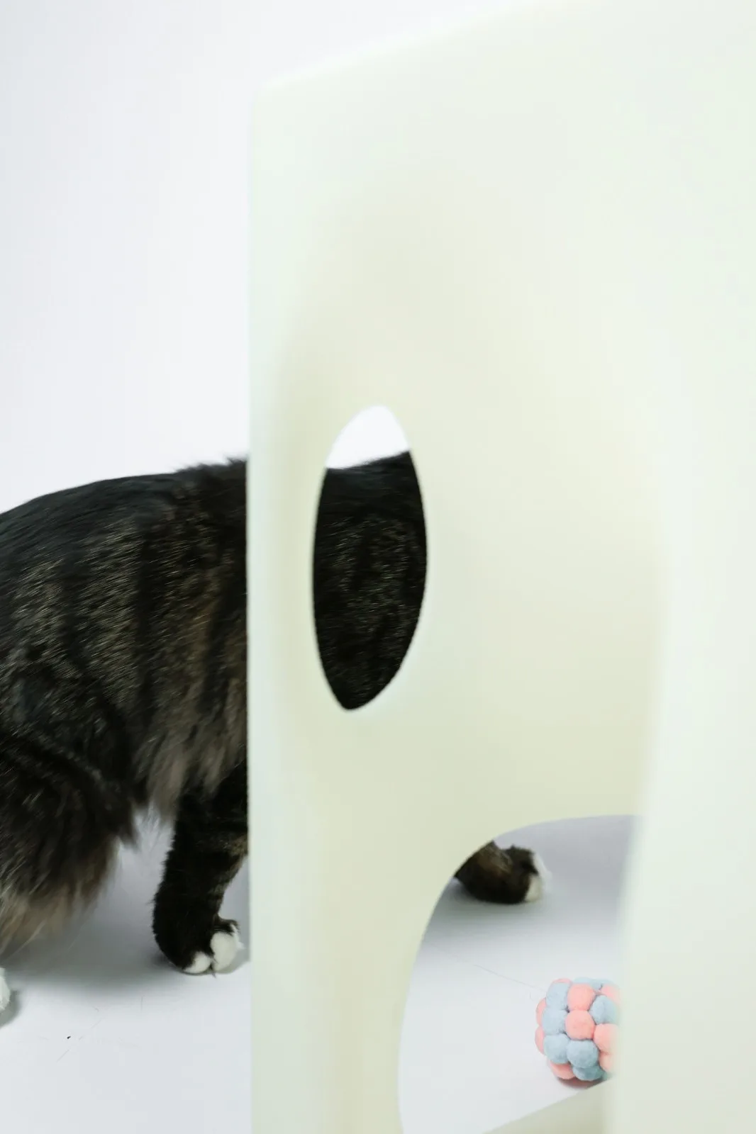 BIM建筑|假如业主是一只猫:猫立方系列 / 杜雷
