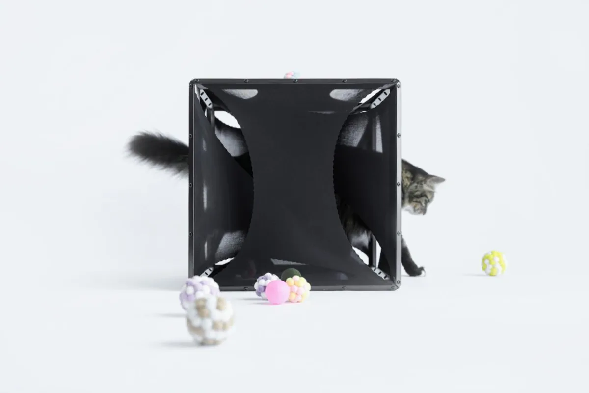 BIM建筑|假如业主是一只猫:猫立方系列 / 杜雷