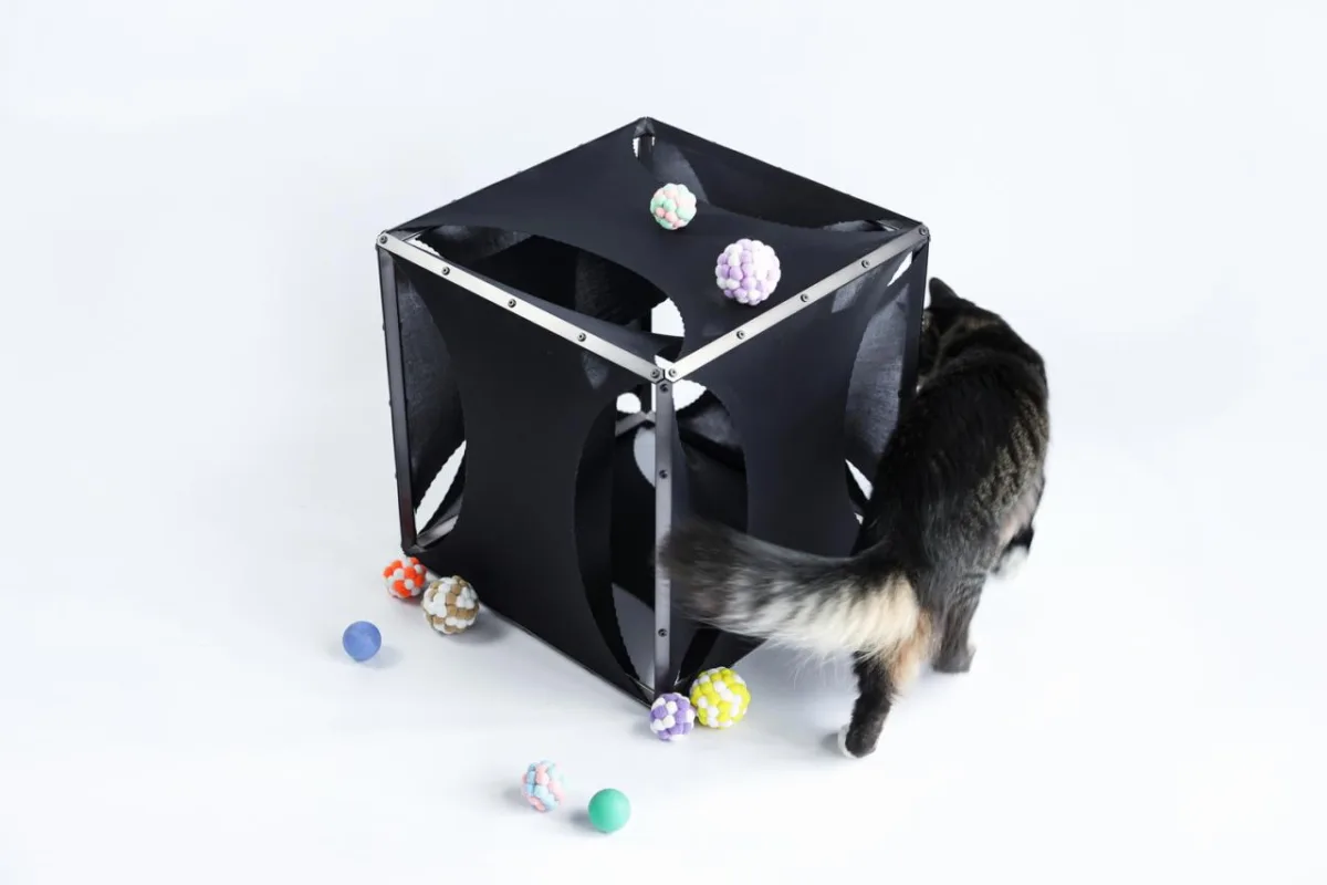 BIM建筑|假如业主是一只猫:猫立方系列 / 杜雷