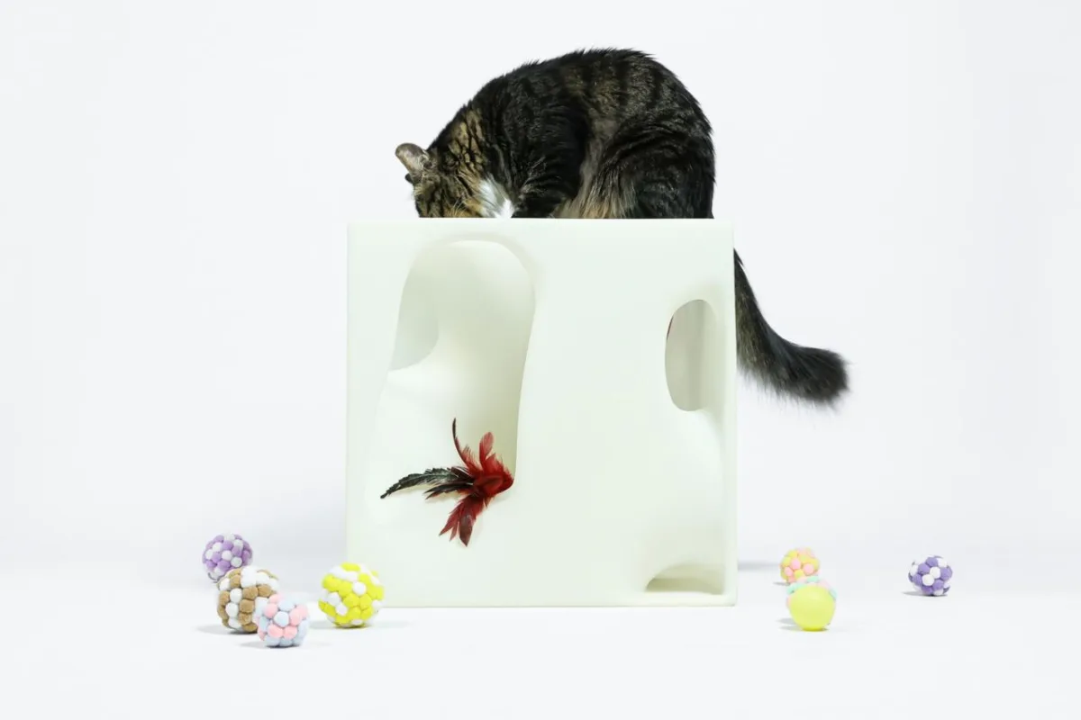 BIM建筑|假如业主是一只猫:猫立方系列 / 杜雷