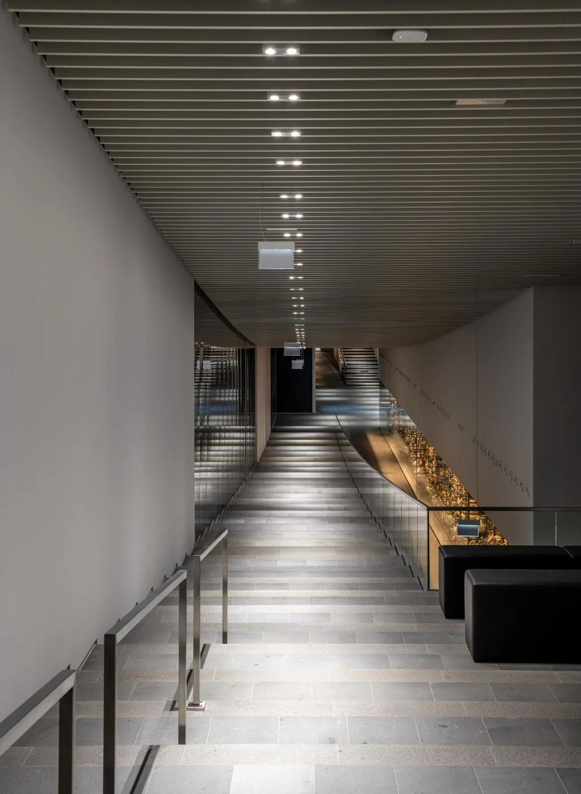BIM建筑|布达佩斯民族学博物馆 / NAPUR Architect