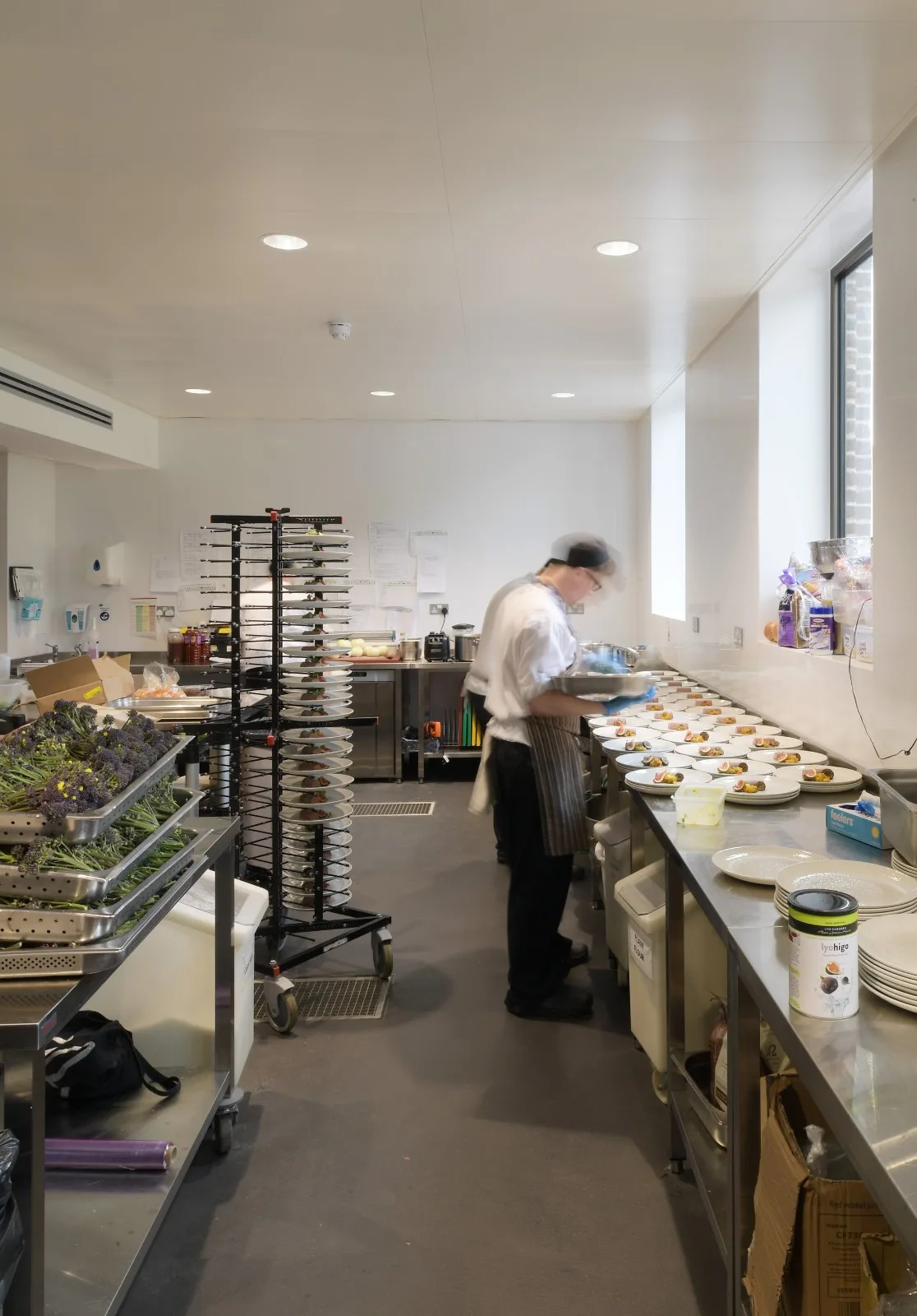 BIM建筑|复古绿釉，剑桥大学食堂 / Feilden Fowles