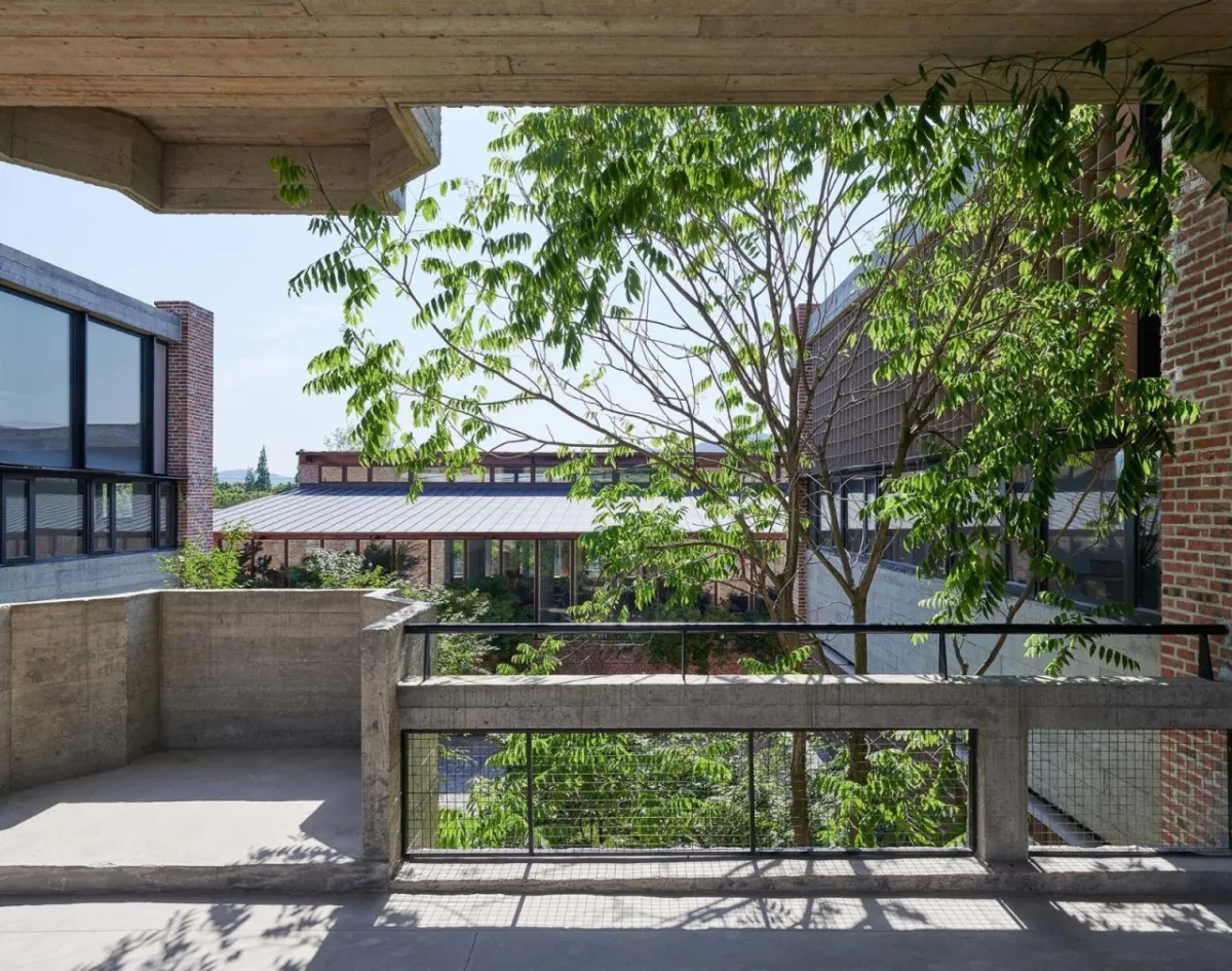 BIM建筑|​工坊式的校园：丁蜀成校 / 亘建筑事务所