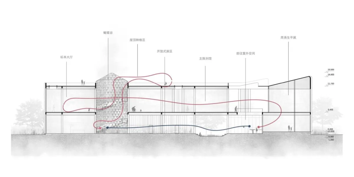 BIM建筑|宁波周尧昆虫博物馆 / 上海秉仁建筑师事务所 + 席地建筑工作室