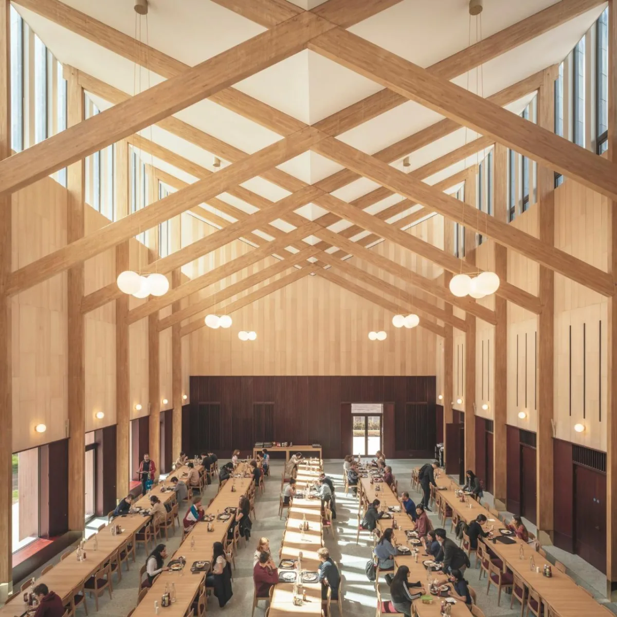 BIM建筑|复古绿釉，剑桥大学食堂 / Feilden Fowles
