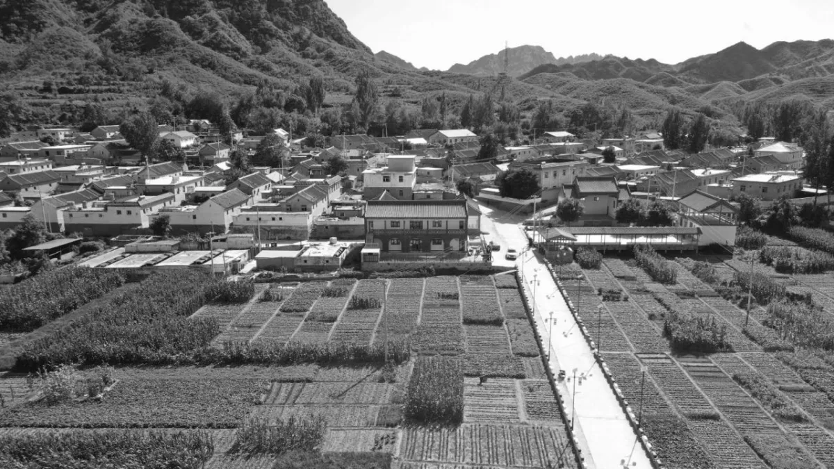 BIM建筑|田岗知行村：乡村会客厅 / 袈蓝建筑