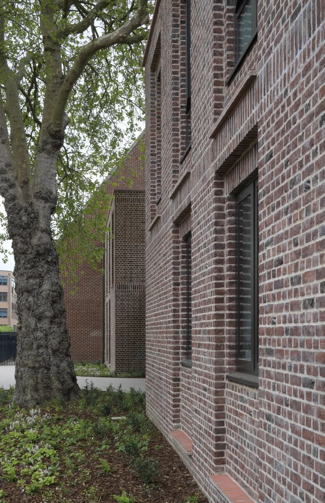 BIM建筑|复古绿釉，剑桥大学食堂 / Feilden Fowles