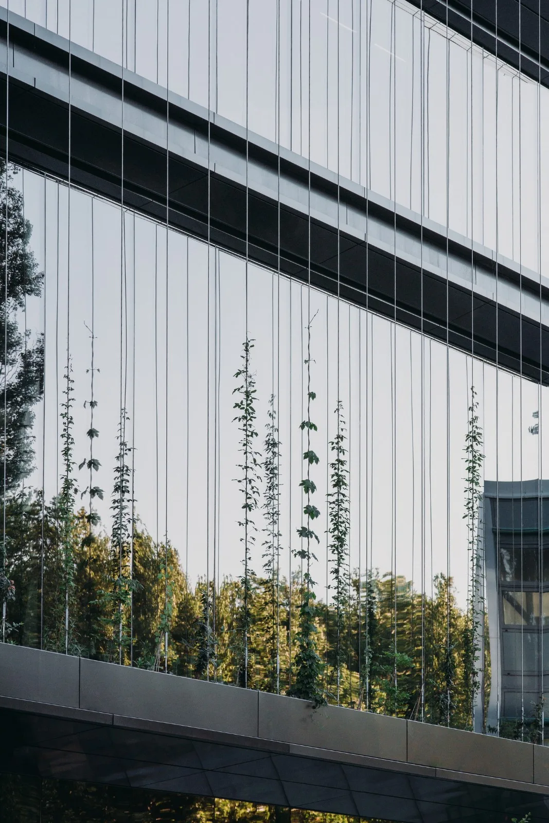 BIM建筑|荷兰代尔夫特理工大学新型能源再生跨学科教学楼 / UNStudio