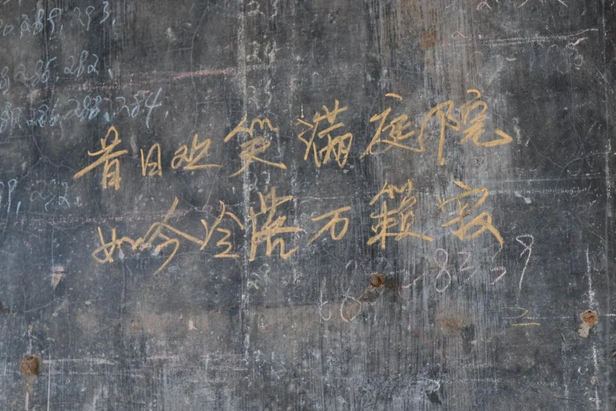 BIM建筑|青龙湖·漂浮种子：自我更新 / 小隐建筑事务所