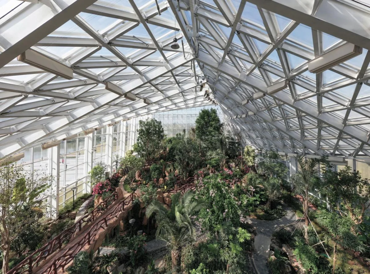 BIM建筑|优雅的变奏·南通植物园温室 / 简和工作室