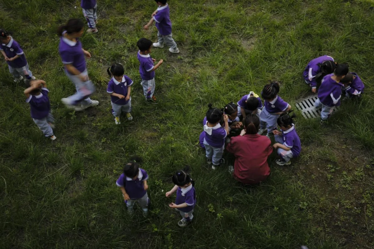 BIM建筑|中国最美幼儿园在县城：平利县第三幼儿园 / 迪卡建筑设计中心