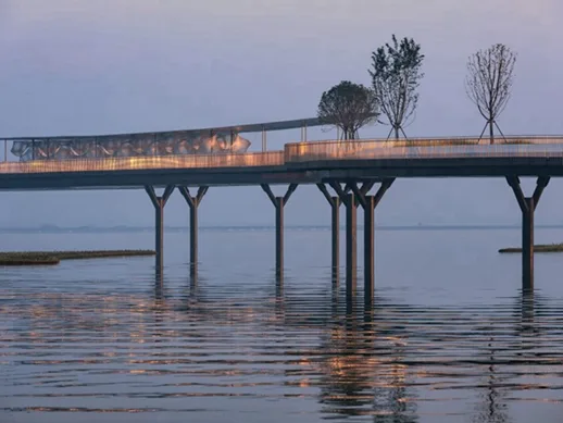 BIM建筑|BAU在上海元荡湖设计“蜿蜒大桥”