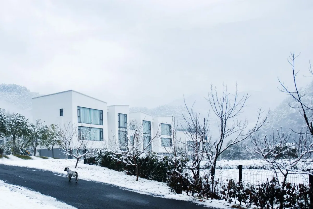BIM建筑|岐院：山川 · 素屋 · 窗，千岛湖 / 平介设计