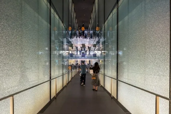 BIM建筑|福斯特设计阶梯瀑布环绕的苹果商店