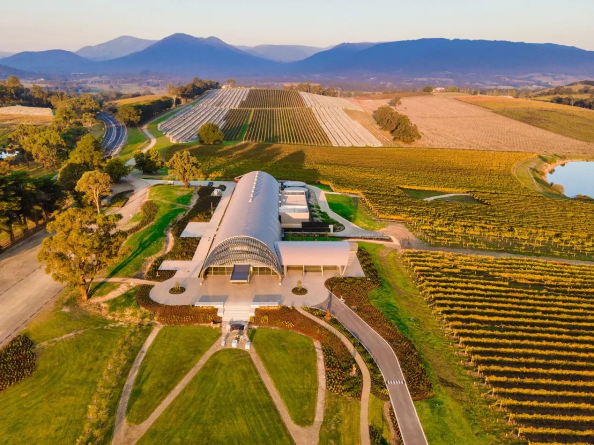 BIM建筑|Levantine Hill Estate酒庄 / Fender Katsalidis Architects