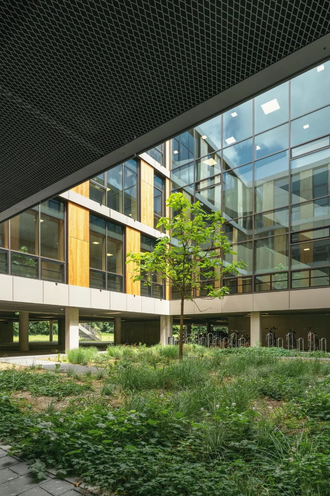 BIM建筑|慕尼黑工业大学可持续化学楼 / Schuster Pechtold Schmidt Architekten