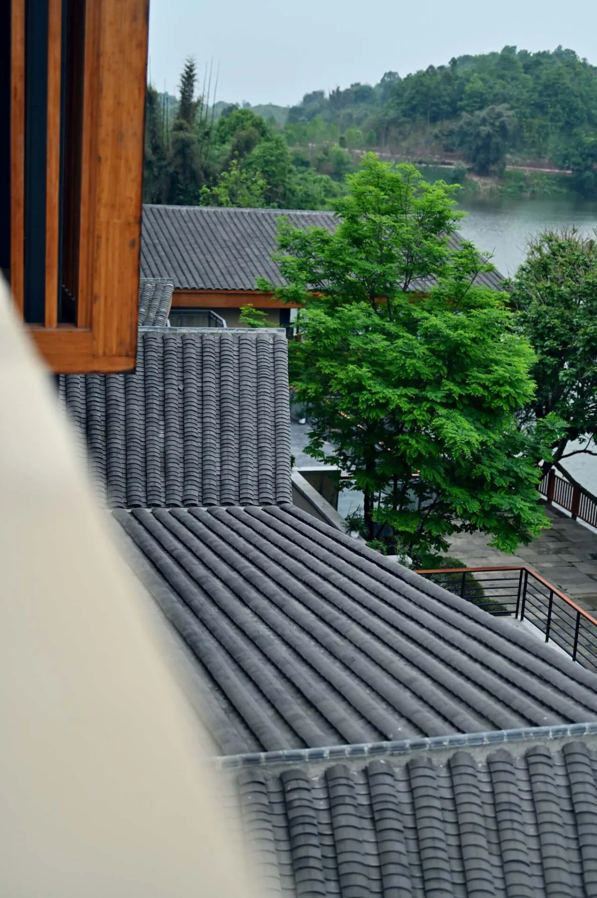 BIM建筑|明月湖沙金小学改造 / 重庆悦集建筑设计事务所