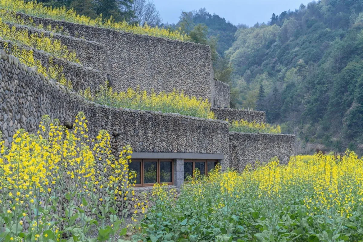 BIM建筑|消隐的建筑，内化的乡土——桑洲清溪文史馆 / UAD