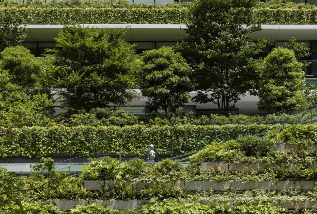 BIM建筑|东京最高区，虎之门之丘 / ingenhoven architects