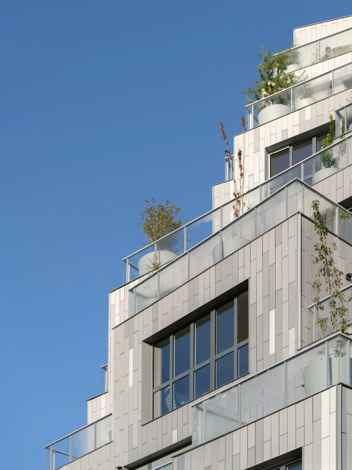 BIM建筑|景观住宅综合体 Ascension / MVRDV