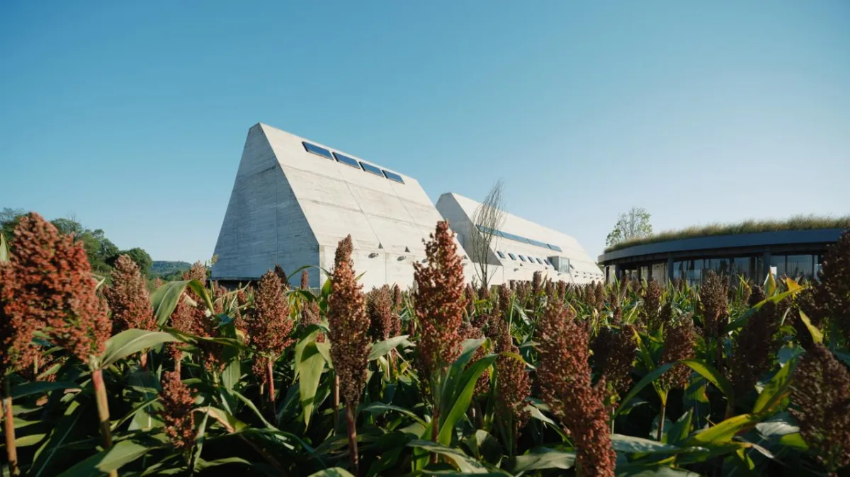 BIM建筑|释放天性的乡村俱乐部 ：江小白的一亩三分地 JOYBO FARM / 未见筑设计事务所