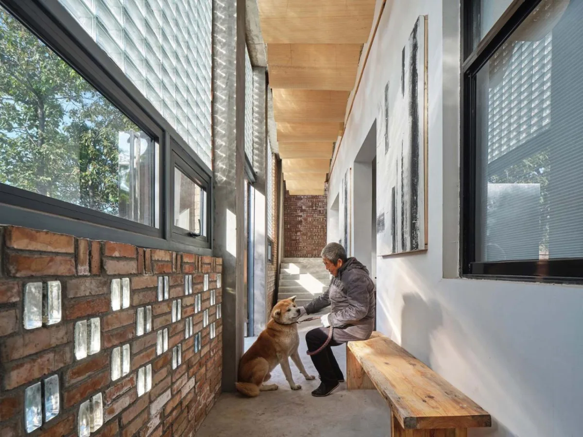 BIM建筑|渭南·巴邑村玻璃砖房 / 西安建筑科技大学设计研究总院