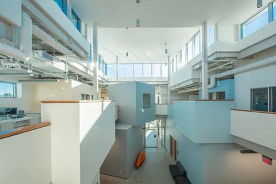 BIM建筑|弗兰克·盖里设计儿童研究所