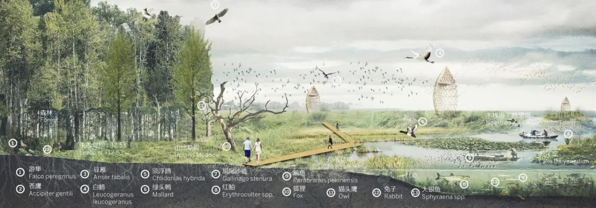 BIM建筑|雄安白洋淀水岸公园 / TLS景观设计事务所