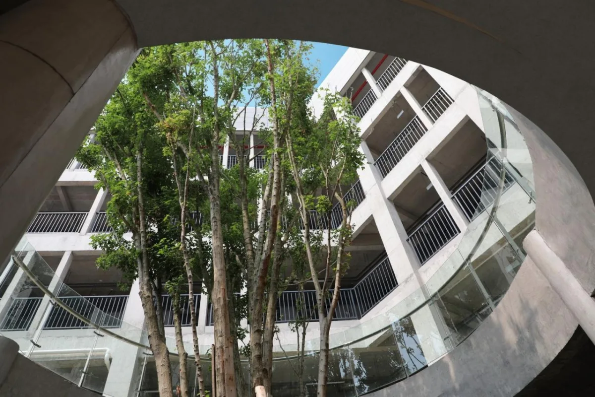 BIM建筑|行山乐水书自华：长江艺术工程职业学院3#教学实训楼 / 湖北建艺风工程设计有限公司