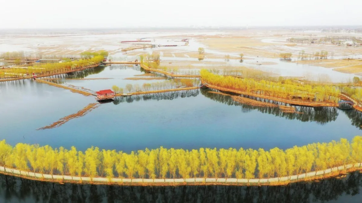 BIM建筑|雄安白洋淀水岸公园 / TLS景观设计事务所