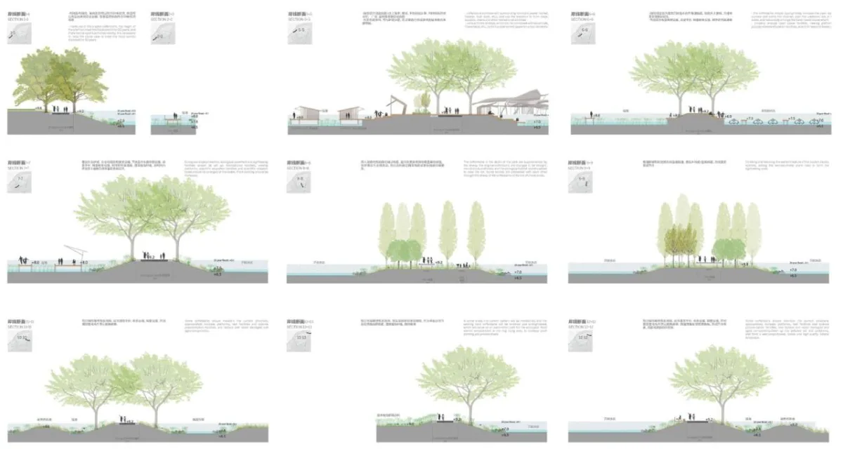 BIM建筑|雄安白洋淀水岸公园 / TLS景观设计事务所