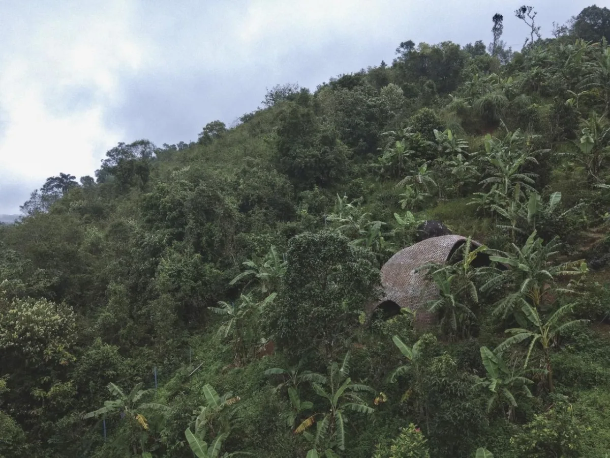 BIM建筑|薄壳拱顶结构牛棚 / Rnd Earth