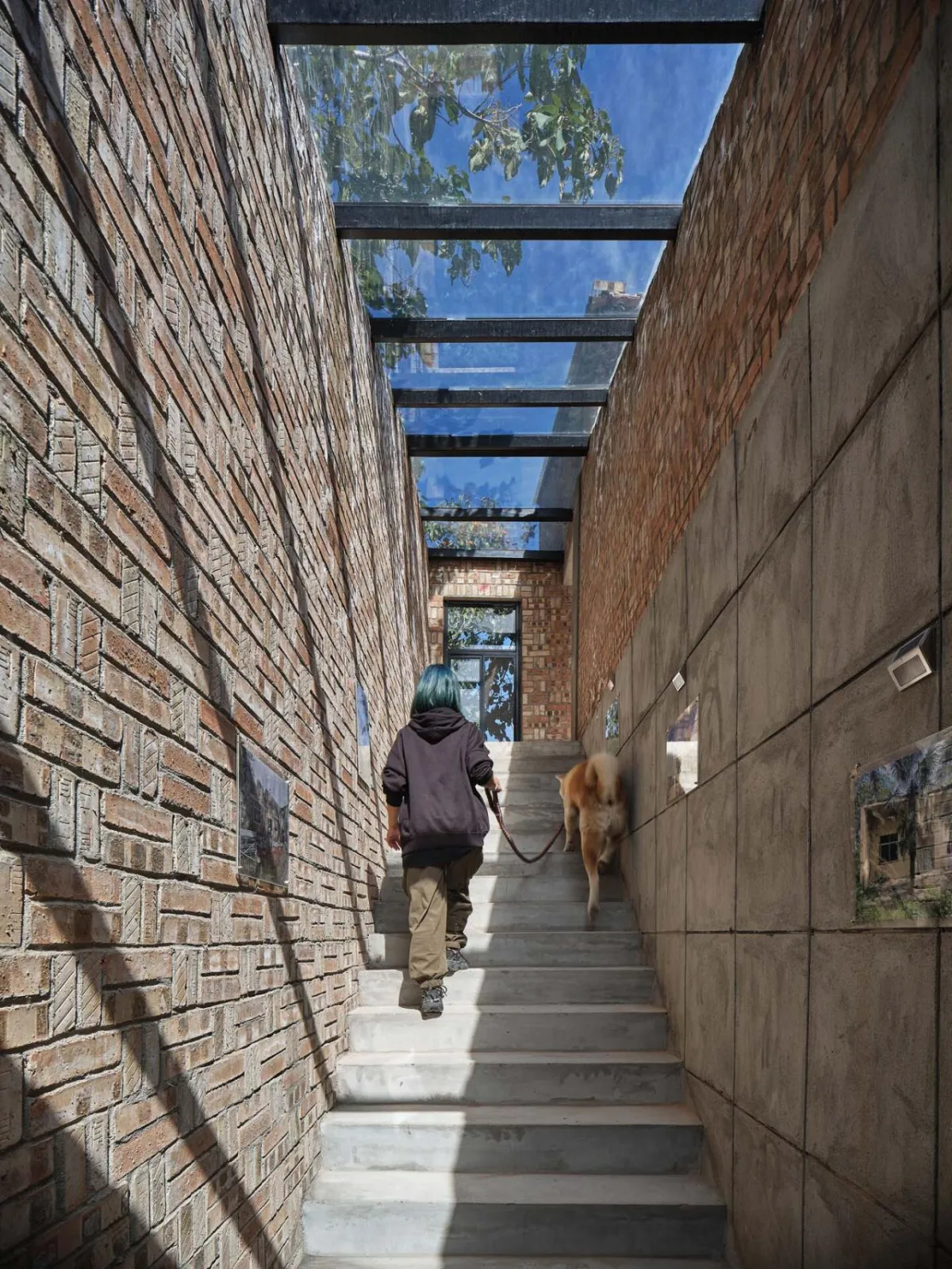 BIM建筑|渭南·巴邑村玻璃砖房 / 西安建筑科技大学设计研究总院