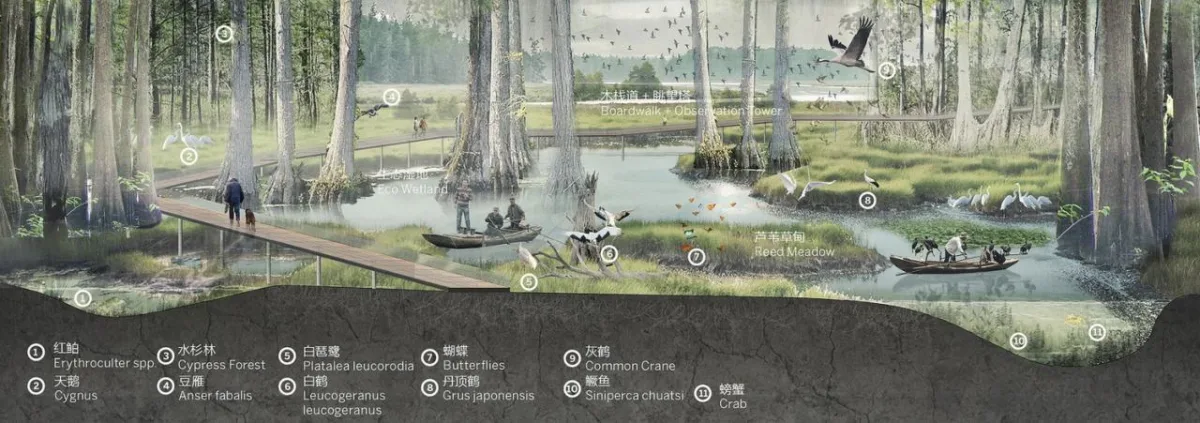 BIM建筑|雄安白洋淀水岸公园 / TLS景观设计事务所