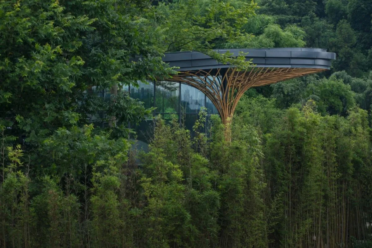 BIM建筑|邛崃竹博馆 / UNO Architects
