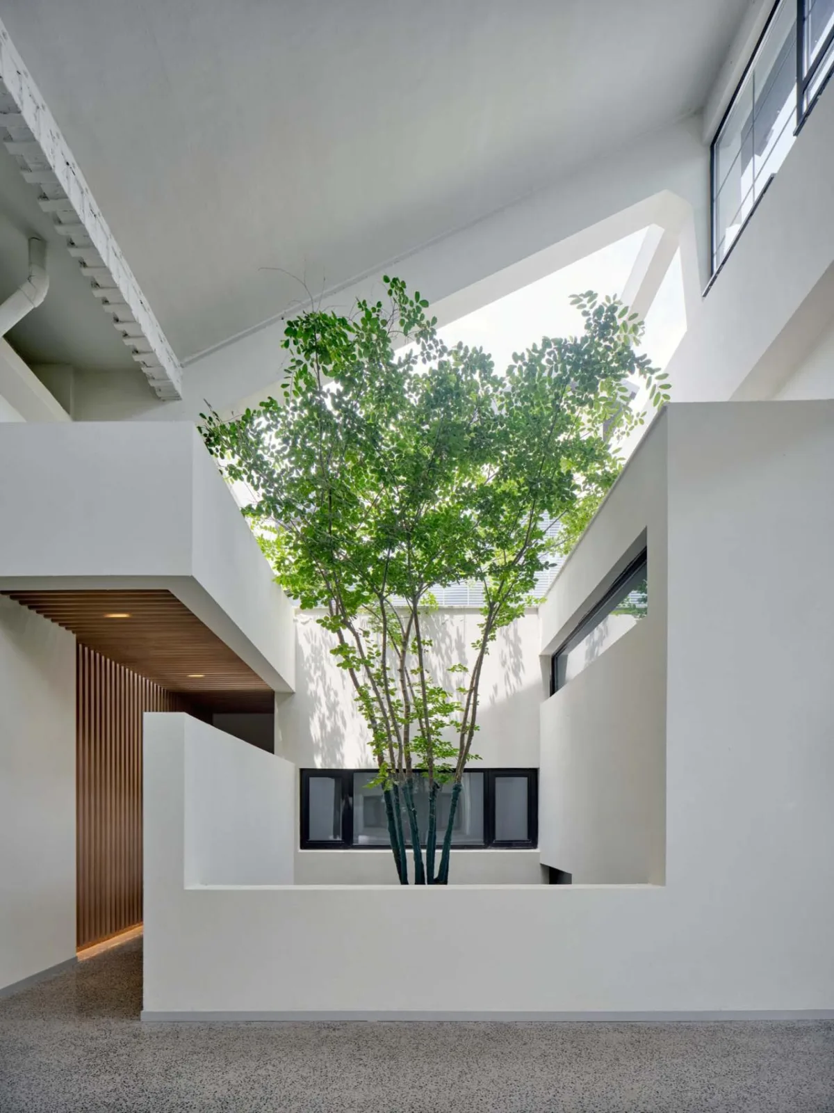 BIM建筑|光明东滩源（原前哨织布厂改造）—客房区 / 同济原作设计工作室