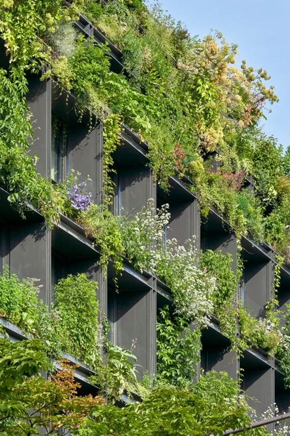 BIM建筑|法国建筑师在巴黎设计植物覆盖的酒店