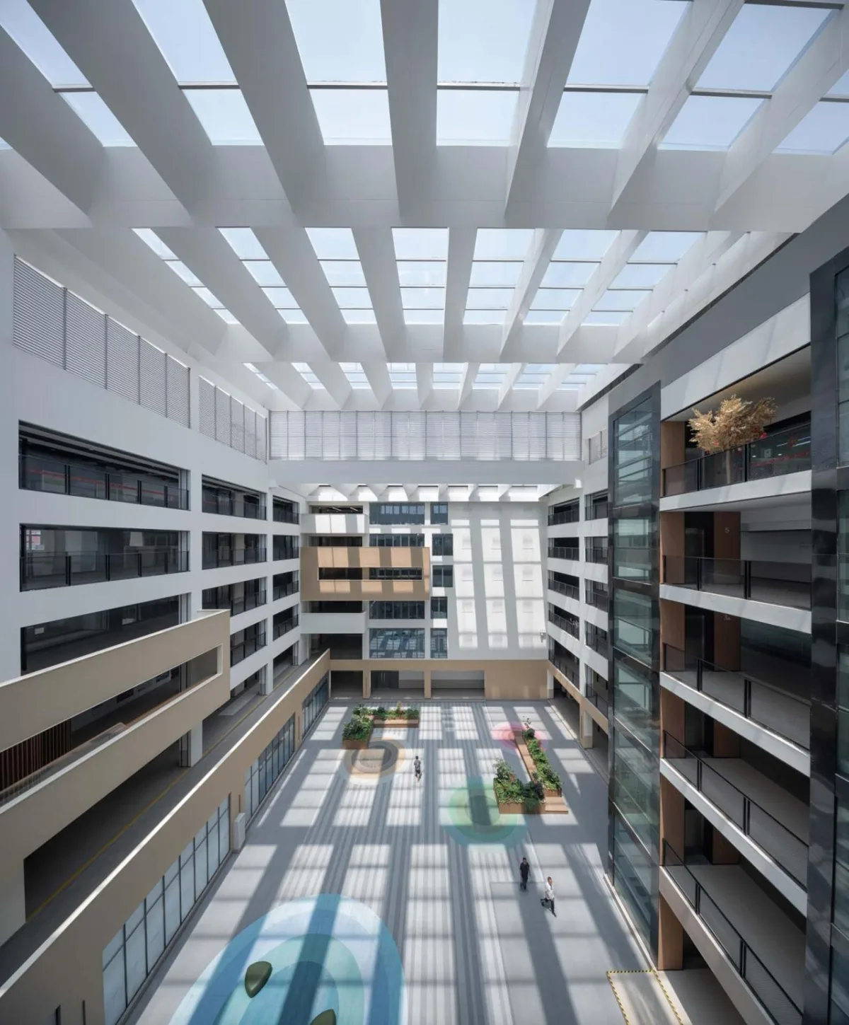 BIM建筑|南京南师大紫金校区整体改造项目 / 杜兹设计