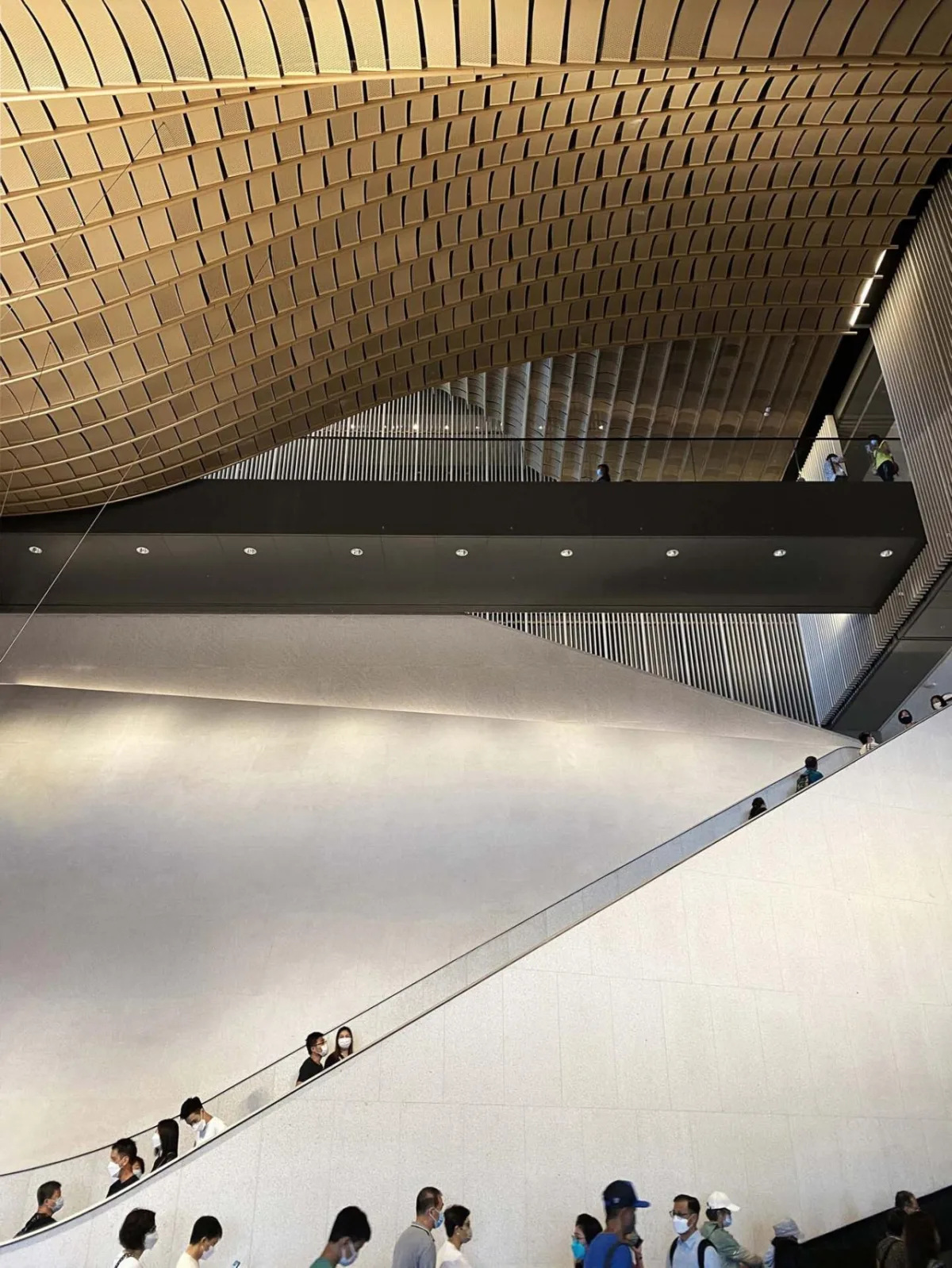 BIM建筑|香港故宫文化博物馆 / 严迅奇建筑师事务所