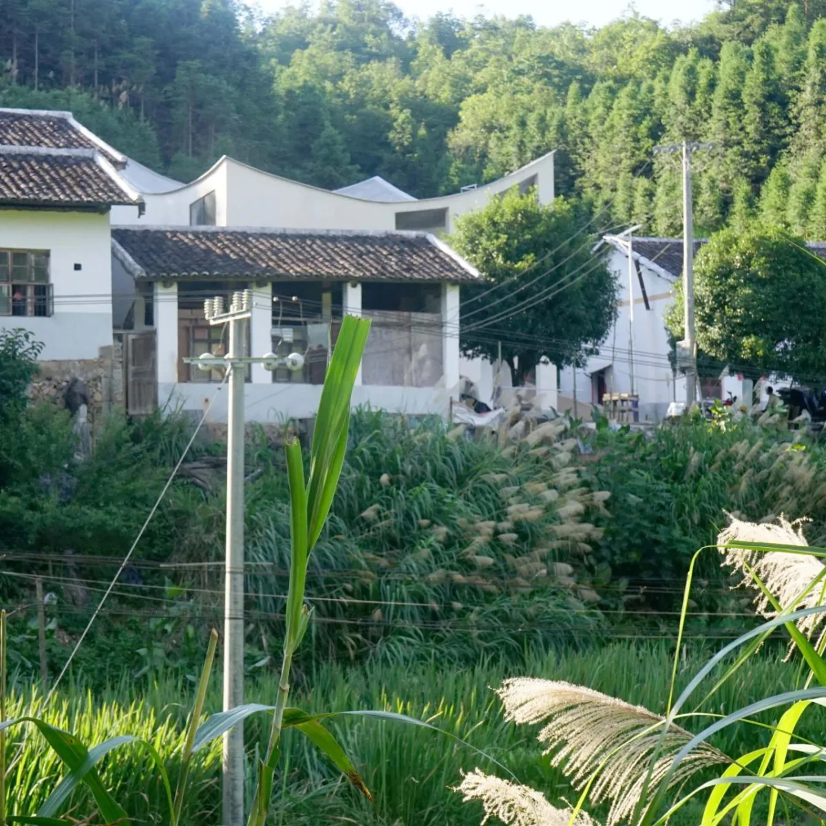 BIM建筑|乡村画室 / 跳房子建筑工作室