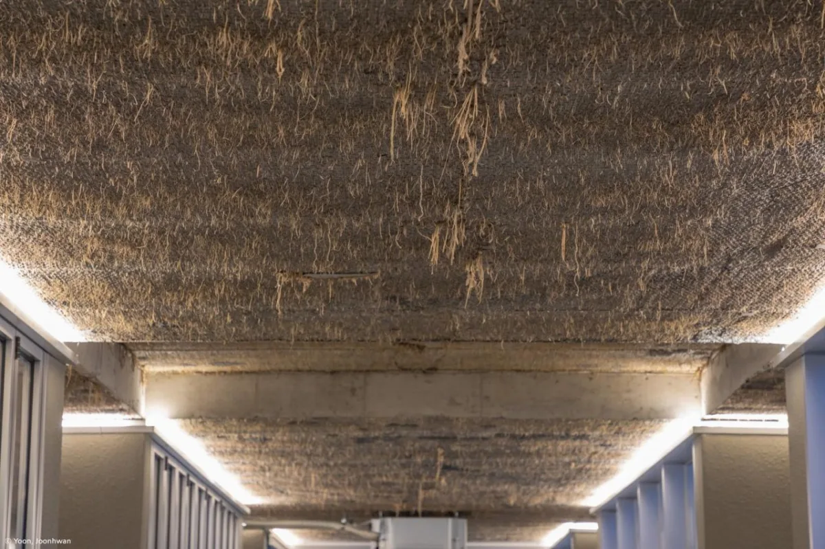 BIM建筑|‘跨文化空间’，NONSPACE 咖啡馆 / ON Architecture INC.