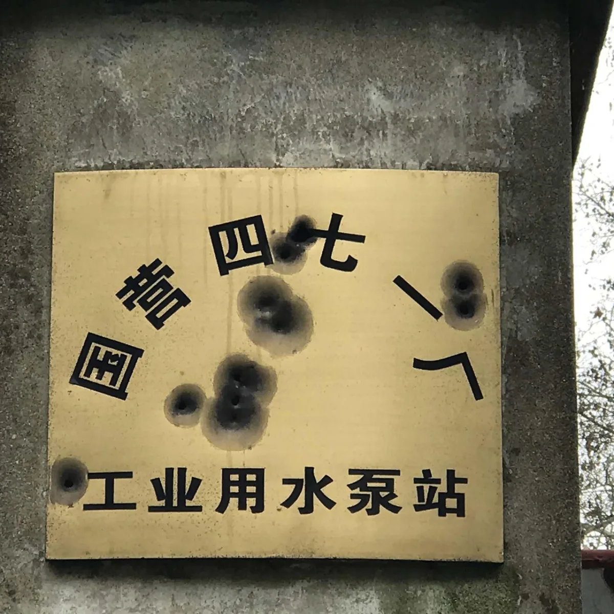BIM建筑|中国履行《湿地公约》30周年成就展馆 / 华中科技大学李保峰建筑工作室
