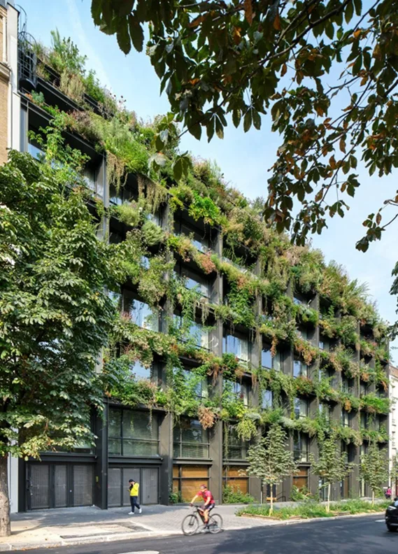 BIM建筑|法国建筑师在巴黎设计植物覆盖的酒店