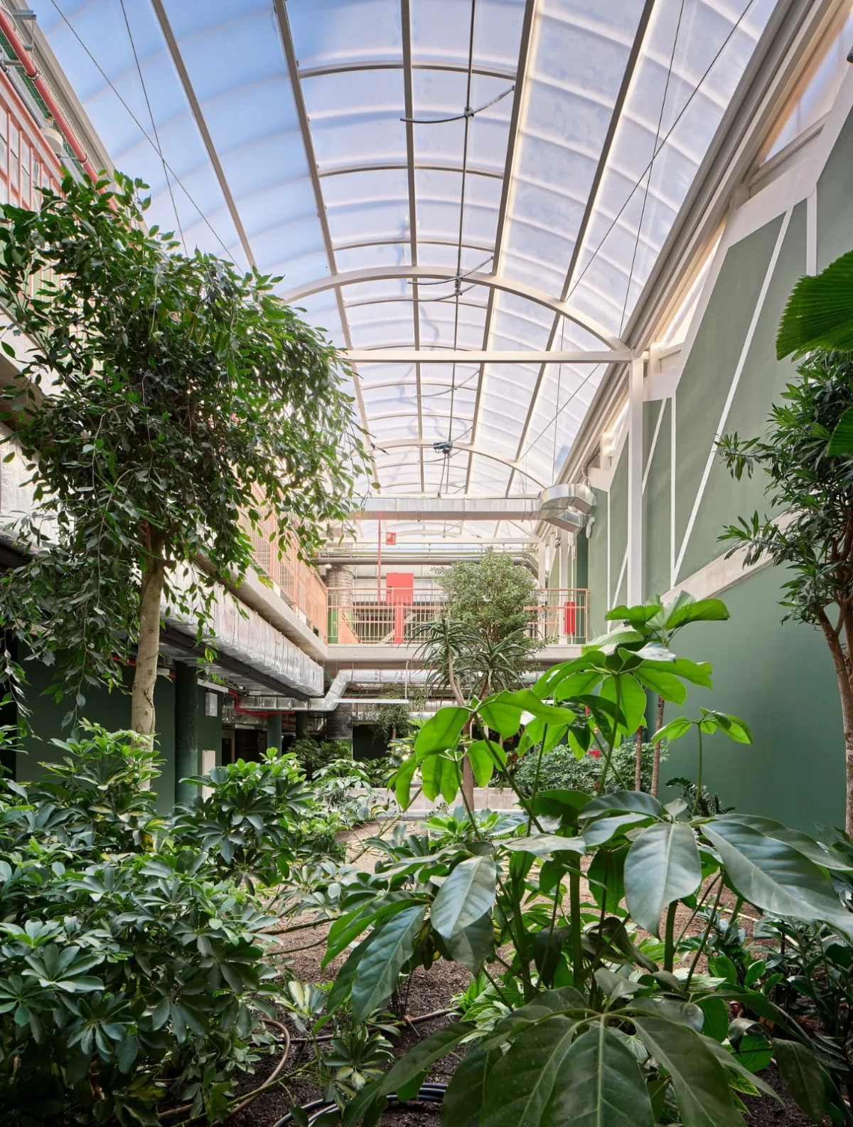 BIM建筑|市集化校园，瑞吉欧学校 / Andrés Jaque+Office for Political Innovation