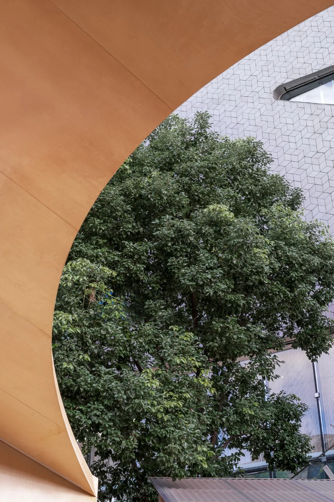 BIM建筑|间园 ：闹市中的空间装置 / 间筑设计
