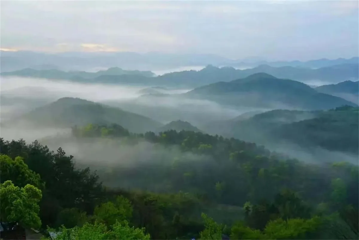 BIM建筑|群山绵延中的山谷小墅：尧珈·养心墅 / 上海尧舜建筑设计有限公司